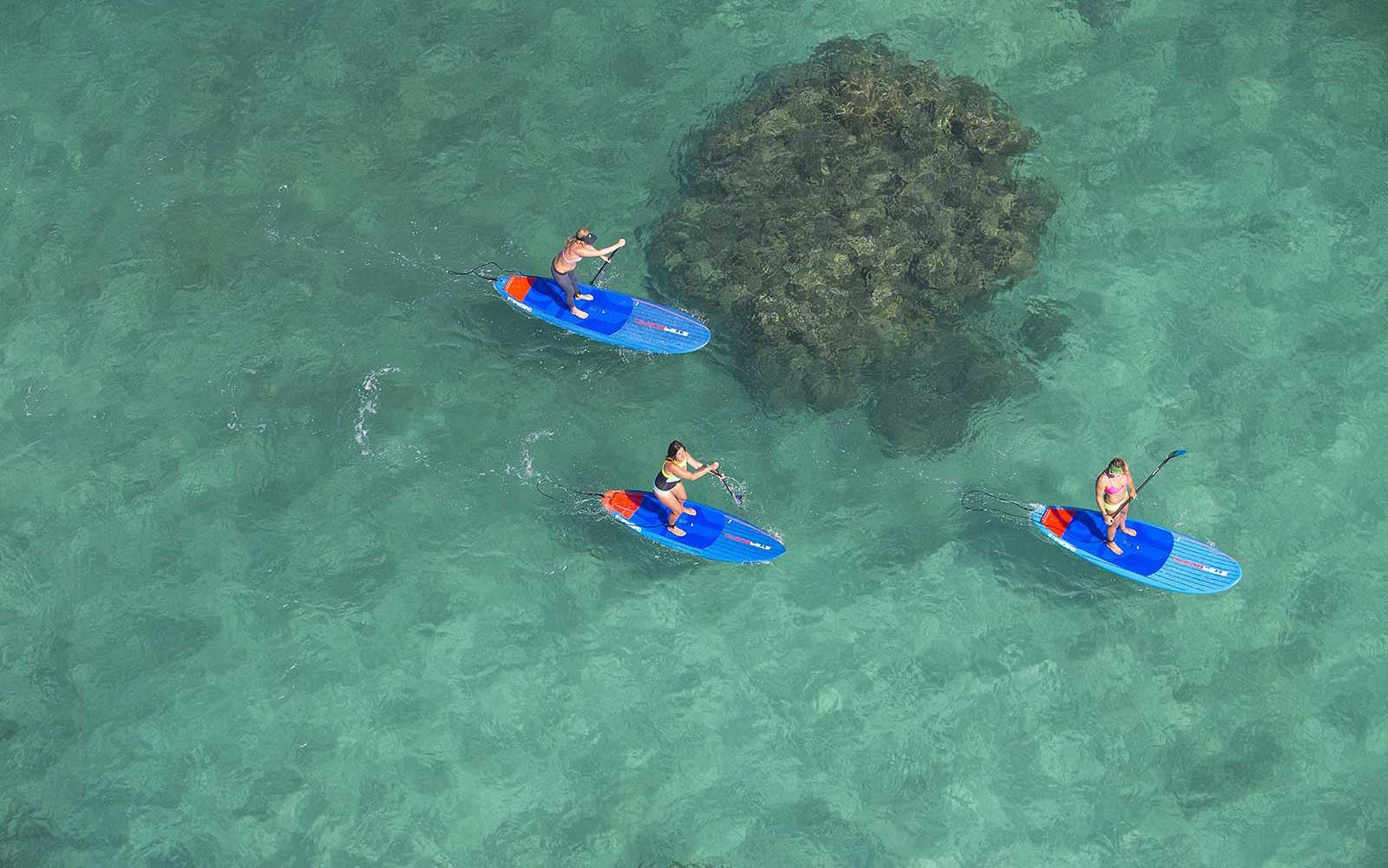 Paddleboard Hire