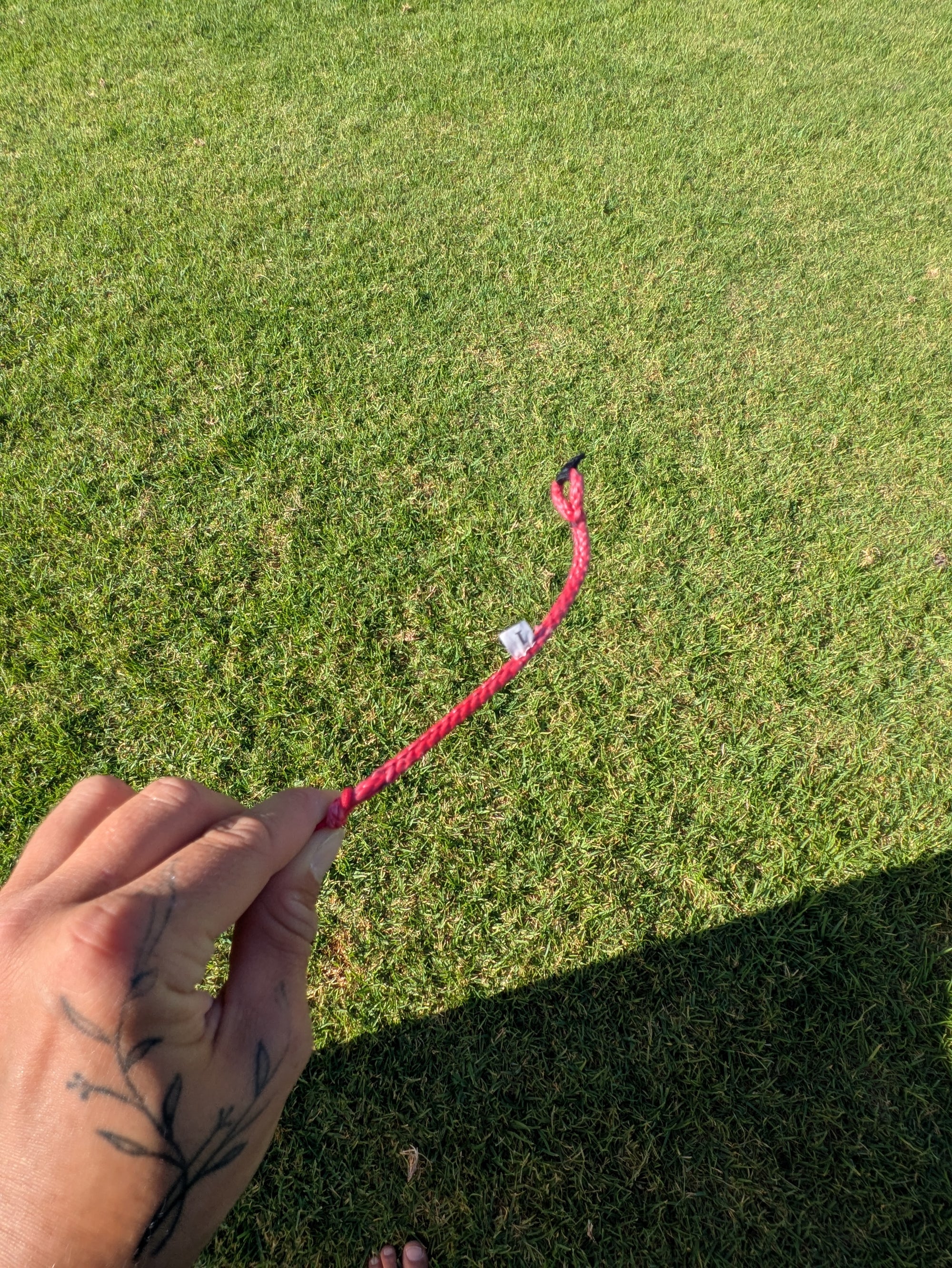 Ozone Catalyst V4 - DEMO