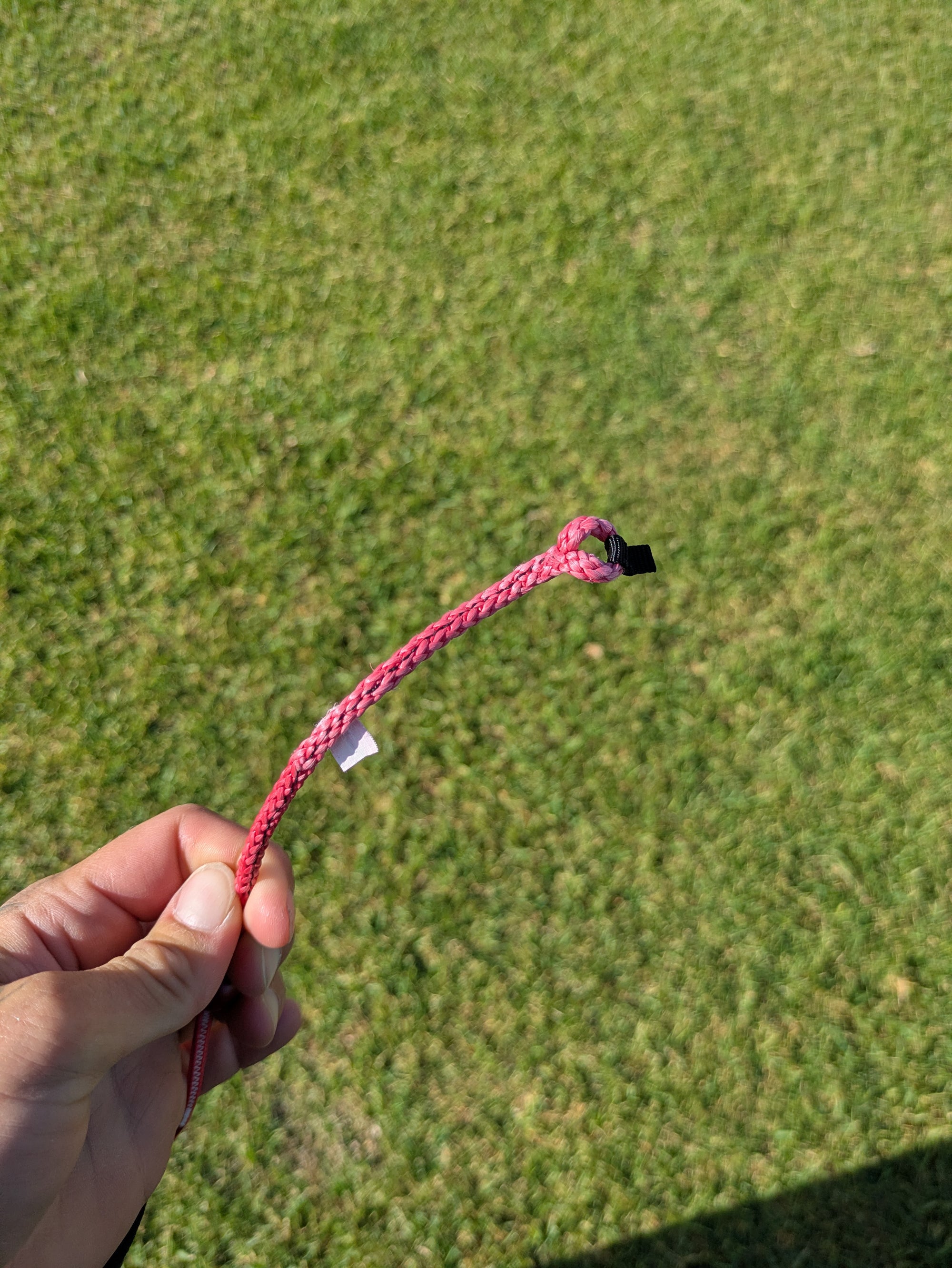 Ozone Catalyst V4 - DEMO