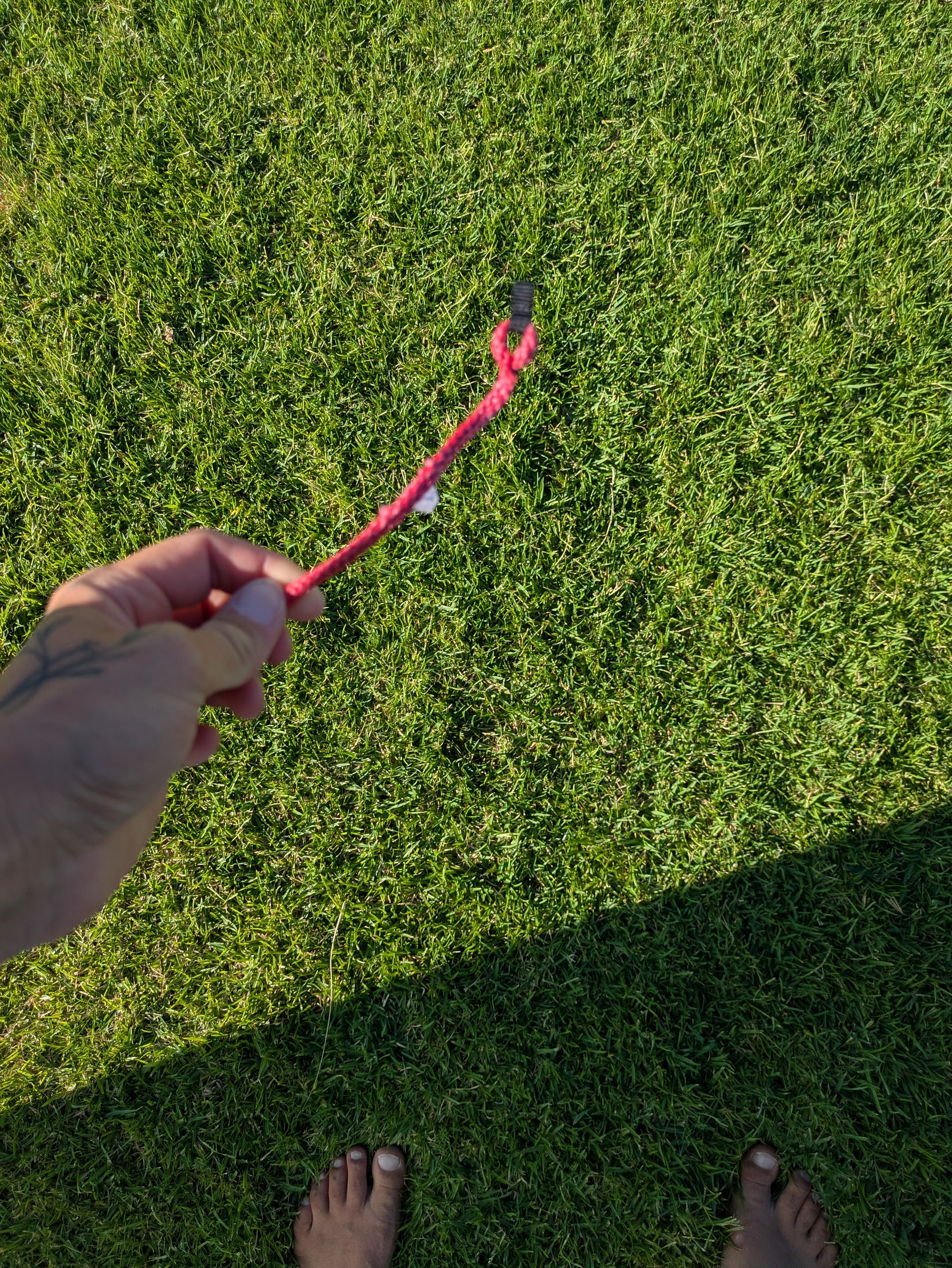 Ozone Catalyst V5 - DEMO