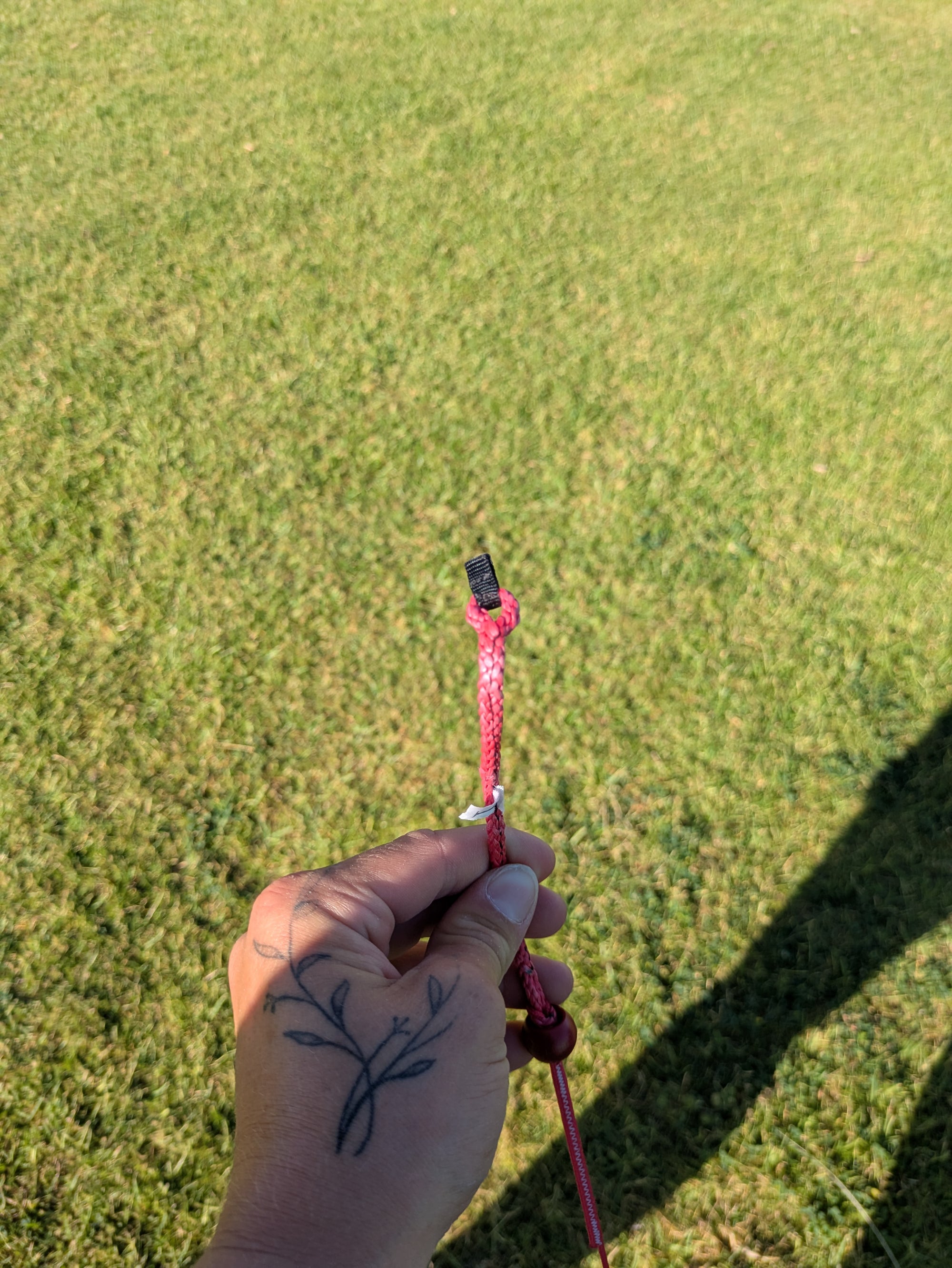 Ozone Catalyst V5 - DEMO